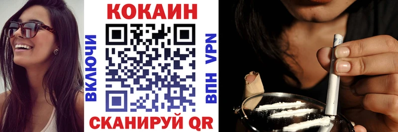где купить   Абакан  COCAIN Fish Scale 