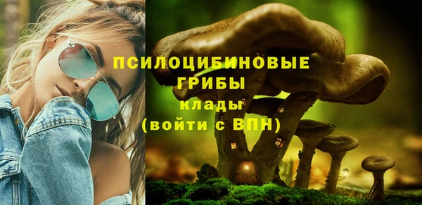 стафф Алексеевка