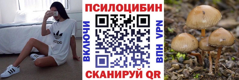 Галлюциногенные грибы Cubensis  цена наркотик  darknet формула  Абакан 